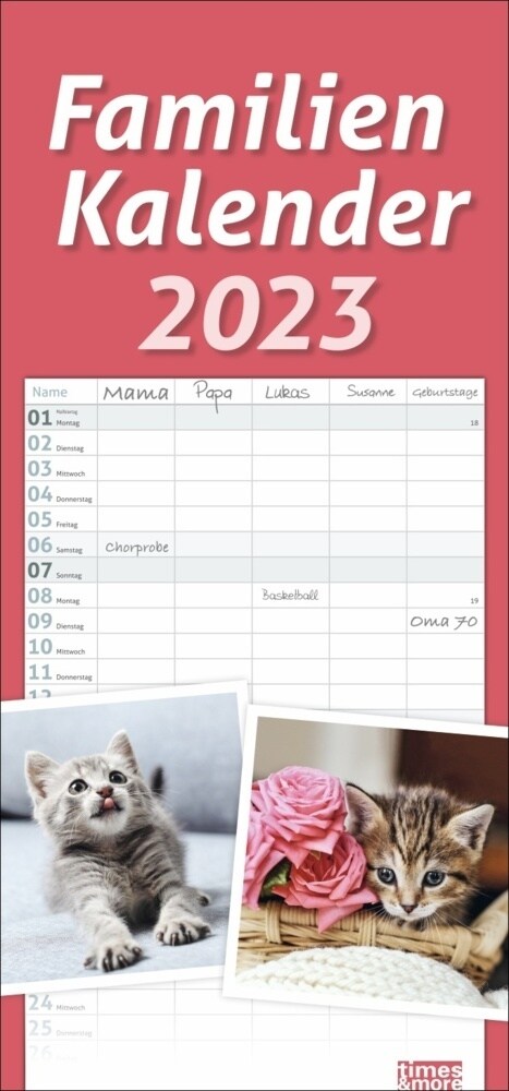 times&more Katzen Familienplaner 2023 (Calendar)