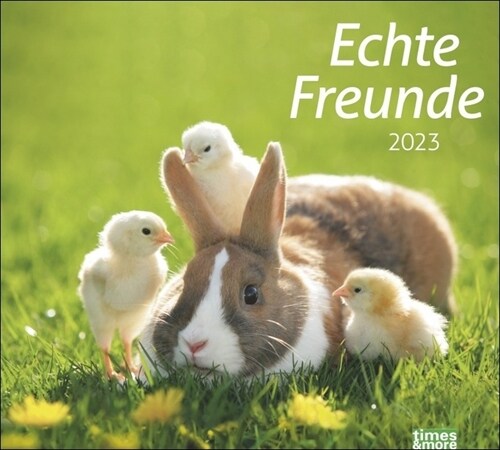 times&more Echte Freunde Bildkalender 2023 (Calendar)