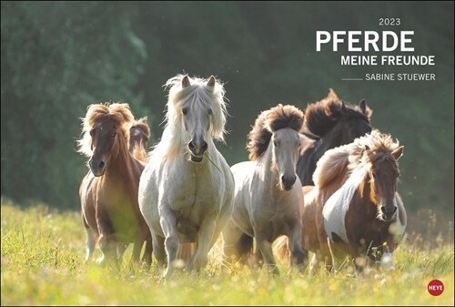 Pferde Meine Freunde Kalender 2023 (Calendar)