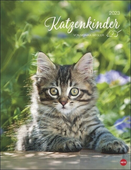 Katzenkinder Posterkalender 2023 (Calendar)