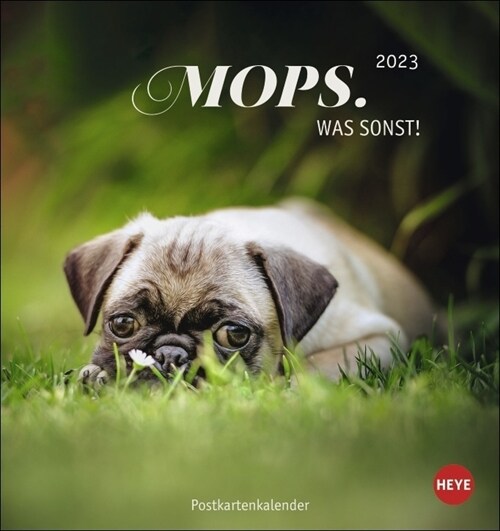 Mops Postkartenkalender 2023 (Calendar)