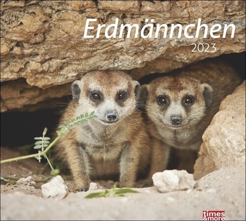 times&more Erdmannchen Bildkalender 2023 (Calendar)