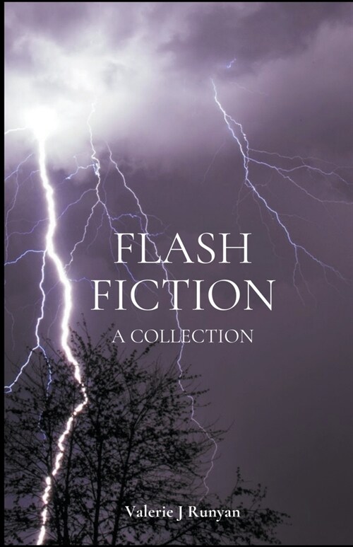 Flash Fiction (Paperback)