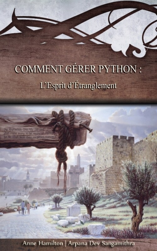 Comment g?er Python: lesprit d?ranglement - Strat?ies pour le seuil #1: lesprit d?ranglement (Paperback)