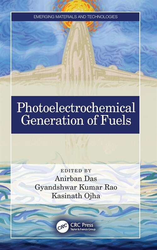 Photoelectrochemical Generation of Fuels (Hardcover)