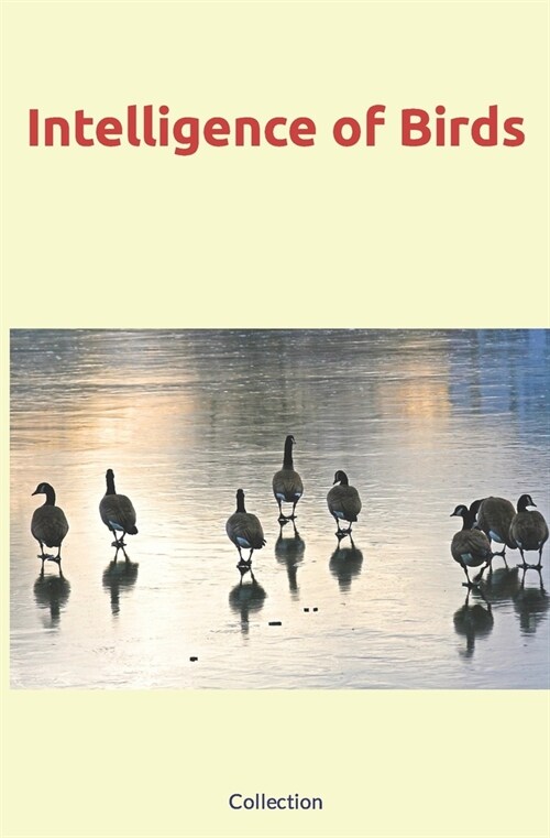 Intelligence of Birds (Paperback)