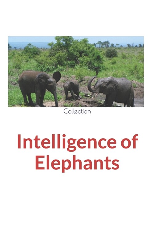Intelligence of Elephants (Paperback)