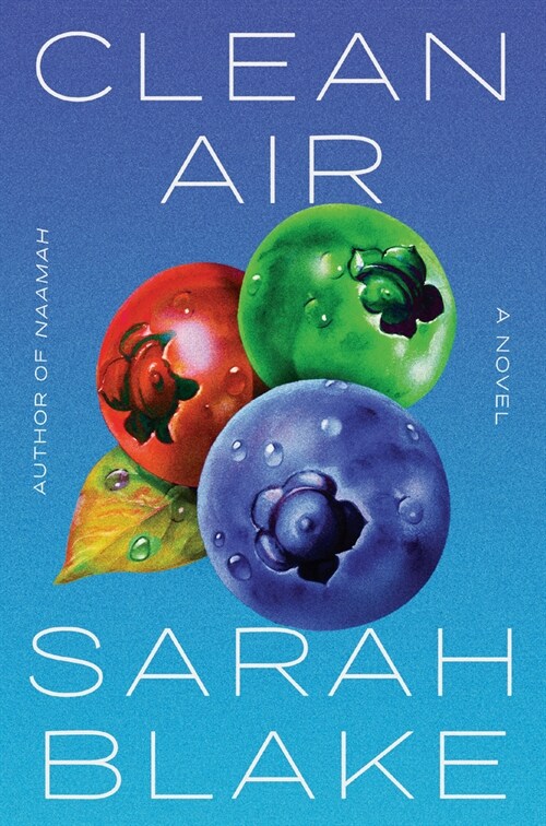 Clean Air (Paperback)