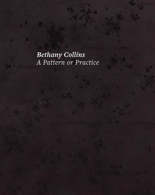 Bethany Collins: A Pattern or Practice (Hardcover)