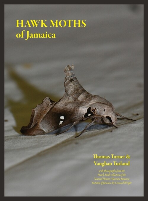 Hawk Moths of Jamaica (Hardcover)