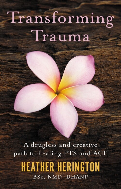 Transforming Trauma : A drugless and creative path to healing PTS and ACE (Paperback)