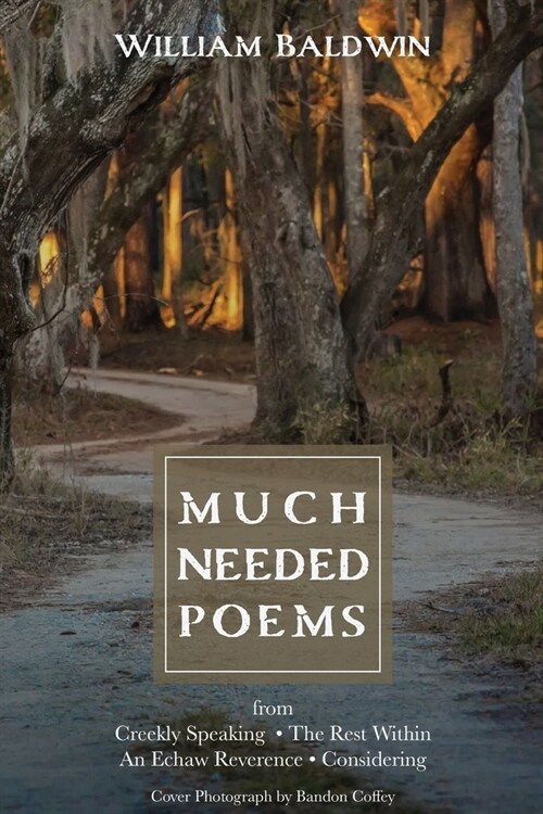 Much Needed Poems (Paperback)