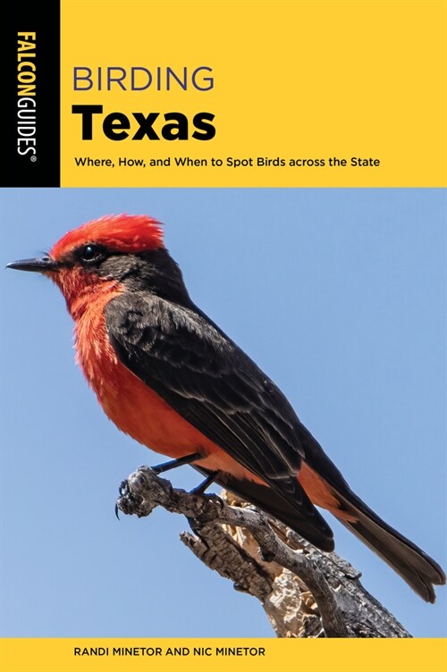 Birding Texas: Where, How, and When to Spot Birds Across the State (Paperback)