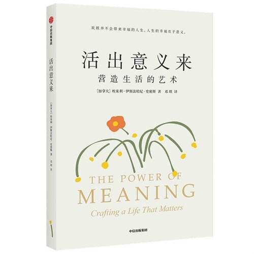 The Power of Meaning: Crafting a Life That Matters (Paperback)