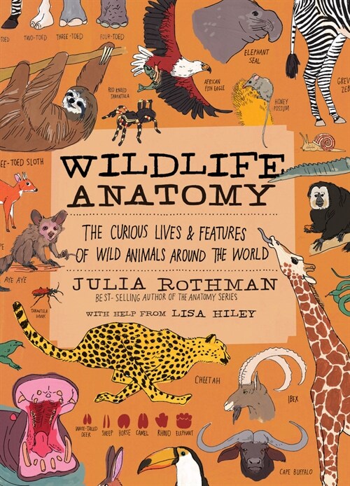 Wildlife Anatomy: The Curious Lives & Features of Wild Animals Around the World (Paperback)