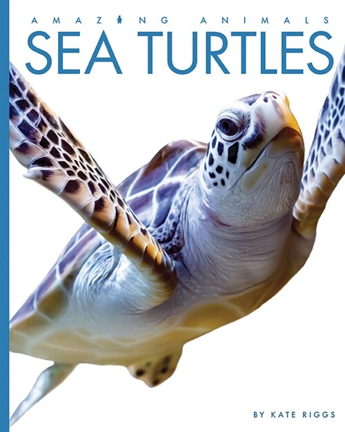 Sea Turtles (Library Binding)