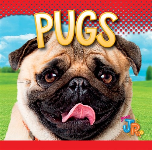 Pugs (Paperback)