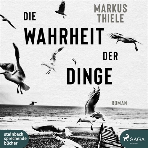 Die Wahrheit der Dinge, 1 Audio-CD, (CD-Audio)