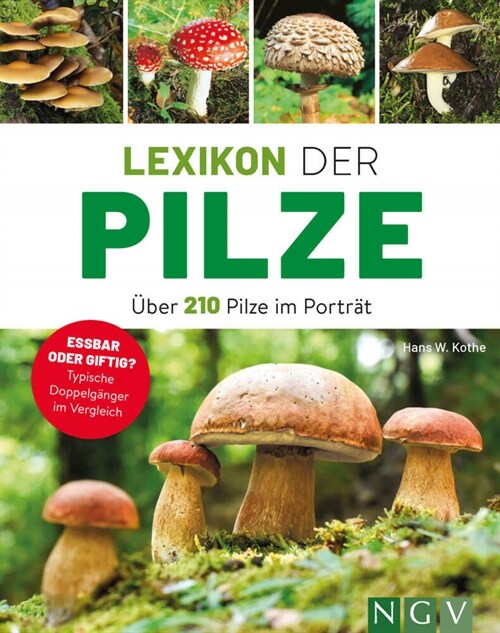 Lexikon der Pilze - Uber 210 Pilze im Portrat (Paperback)