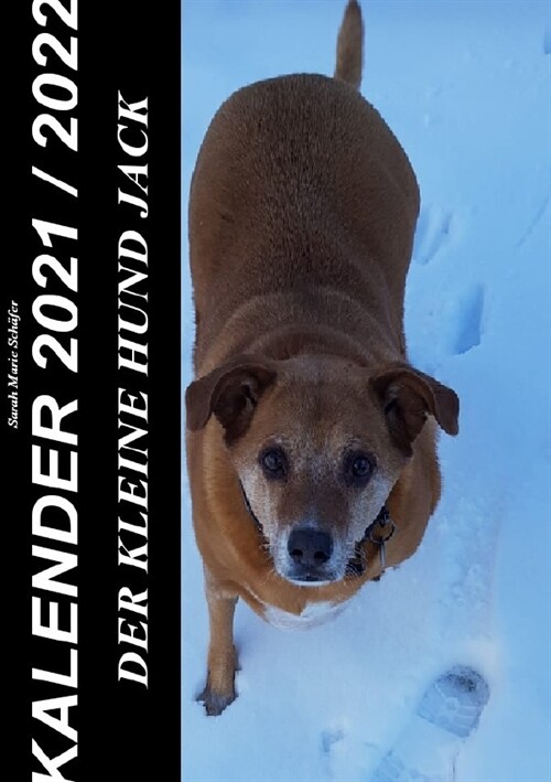 Der kleine Hund Jack - Kalender 2021 / 2022 (Paperback)