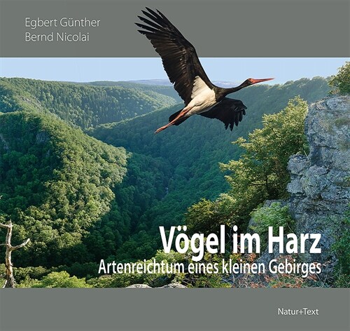 Vogel im Harz (Hardcover)