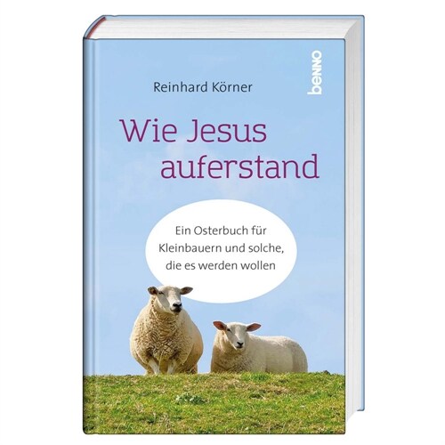 Wie Jesus auferstand (Hardcover)