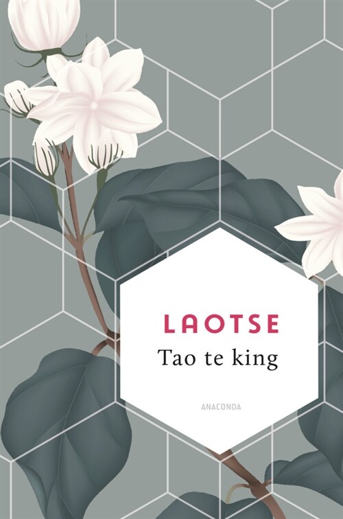 Tao te king (Hardcover)