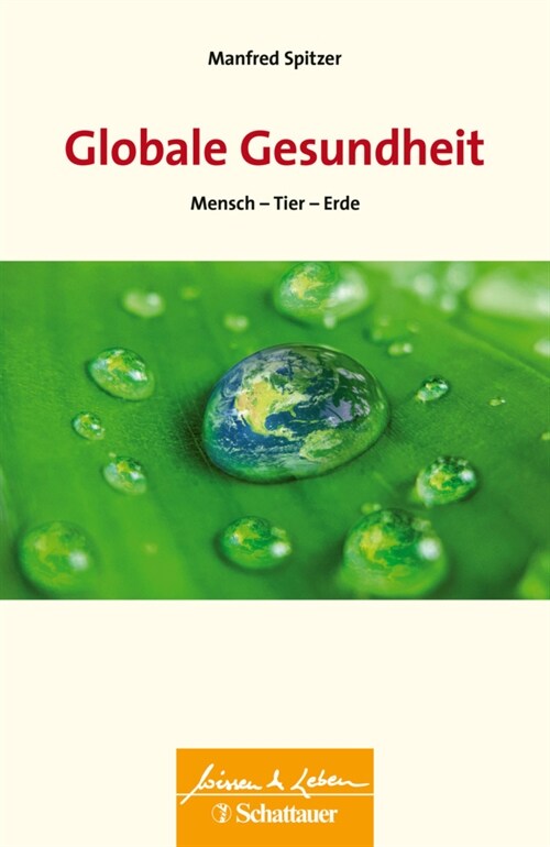 Globale Gesundheit (Wissen & Leben) (Paperback)