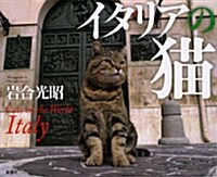 イタリアの猫 (大型本)