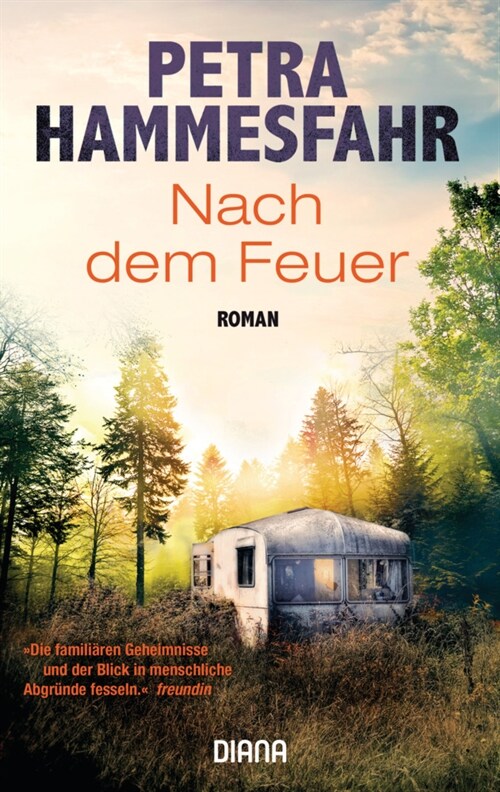 Nach dem Feuer (Paperback)