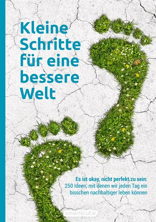 Kleine Schritte fur eine bessere Welt (Paperback)