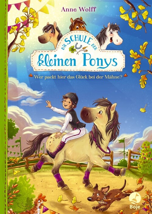 Die Schule der kleinen Ponys (Hardcover)