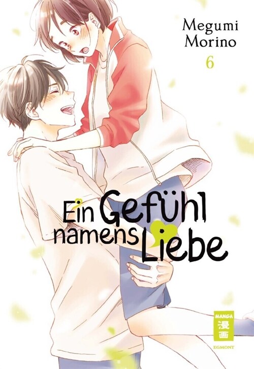 Ein Gefuhl namens Liebe. Bd.6 (Paperback)