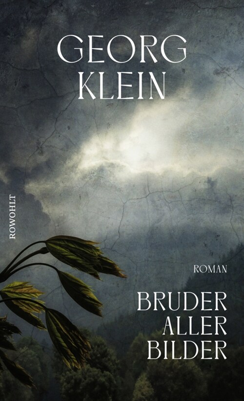 Bruder aller Bilder (Hardcover)