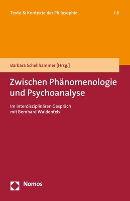 Zwischen Phanomenologie Und Psychoanalyse: Im Interdisziplinaren Gesprach Mit Bernhard Waldenfels (Paperback)