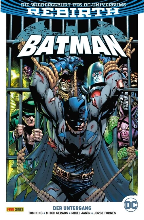 Batman (2. Serie). Bd.11 (Paperback)