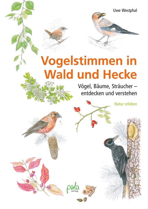 Vogelstimmen in Wald und Hecke (Hardcover)