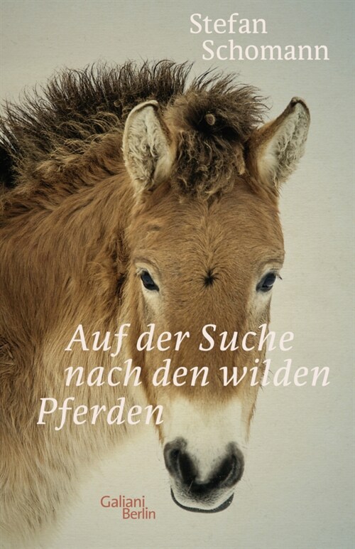 Auf der Suche nach den wilden Pferden (Hardcover)