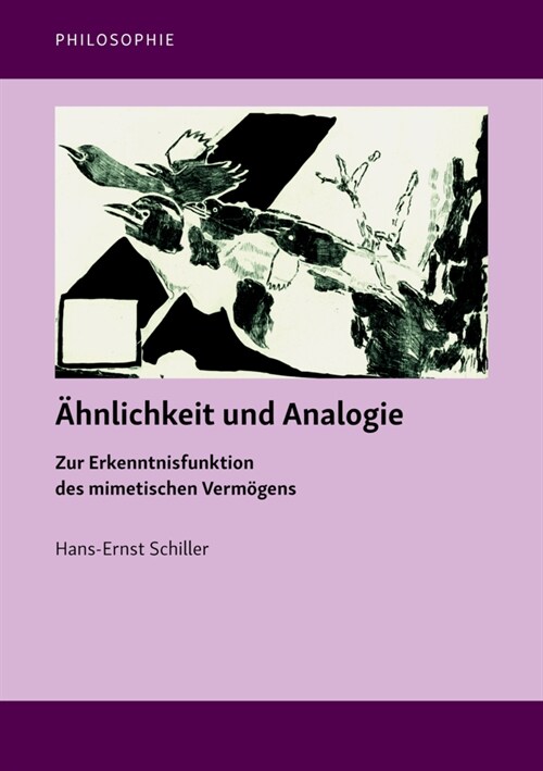 Ahnlichkeit und Analogie (Paperback)