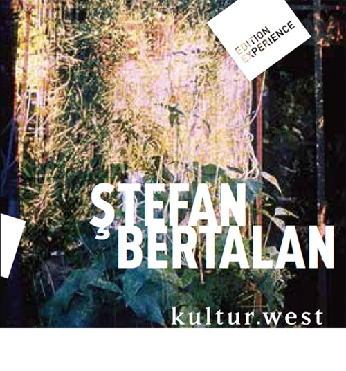 Stefan Bertalan. Visuelle Strukturen 1960-2000 (Paperback)