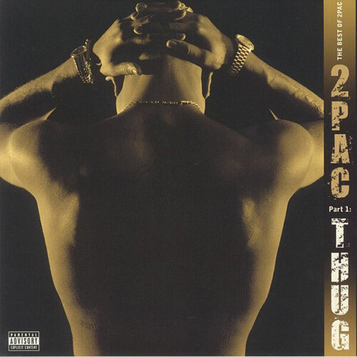 [수입] 2Pac - The Best Of 2Pac Part 1: Thug [Gatefold][2LP]