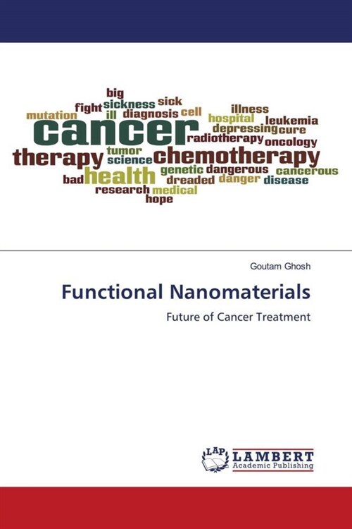 Functional Nanomaterials (Paperback)