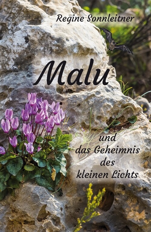 Malu und das Geheimnis des kleinen Lichts (Paperback)