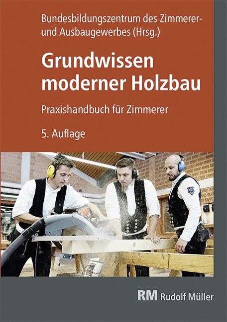 Grundwissen moderner Holzbau (Hardcover)