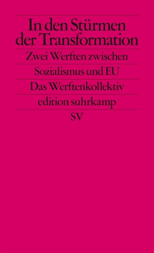 In den Sturmen der Transformation (Paperback)