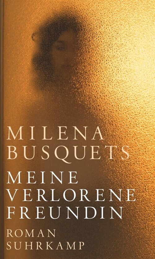 Meine verlorene Freundin (Hardcover)