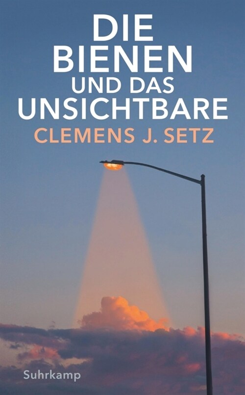 Die Bienen und das Unsichtbare (Paperback)