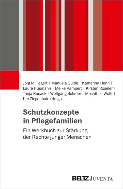 Schutzkonzepte in Pflegefamilien (Paperback)