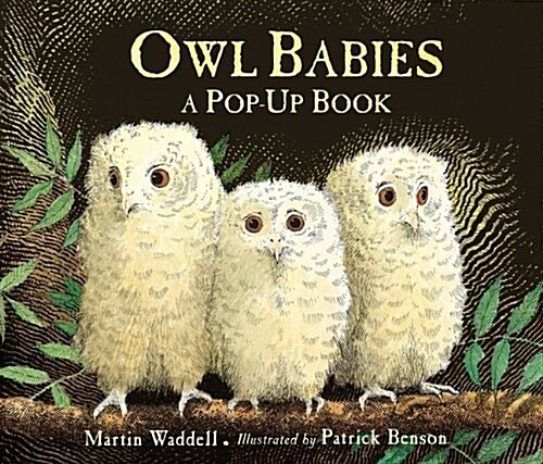 [중고] Owl Babies (Hardcover)