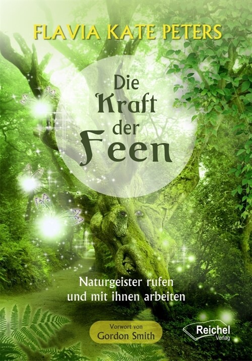 Die Kraft der Feen (Paperback)